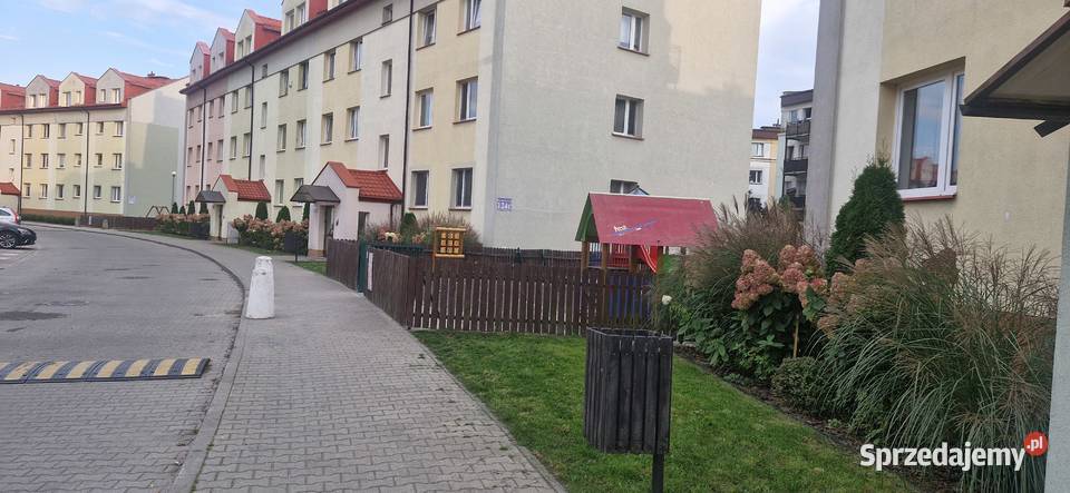 Mega okazja Najtaniej na ZB Skarbka z Gór 124b 4 Liczba pokoi 4 mazowieckie Warszawa