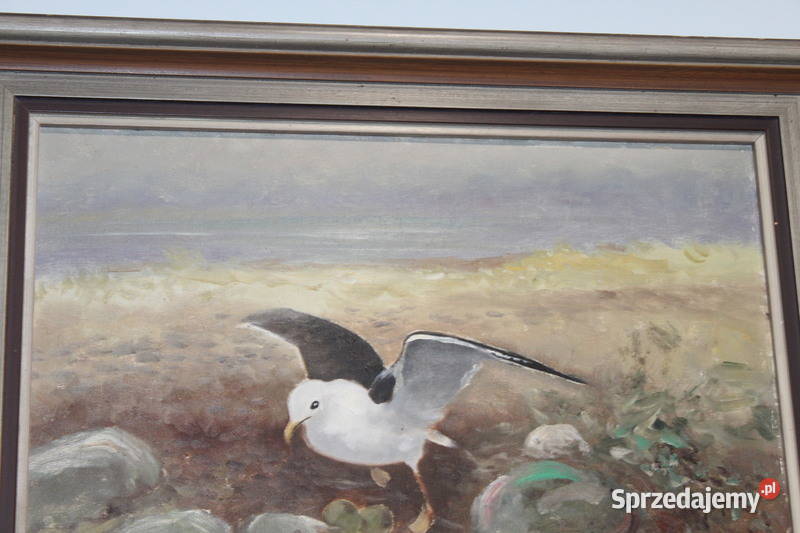 Obraz Mewa GAdon 297 FiaF Szczecin