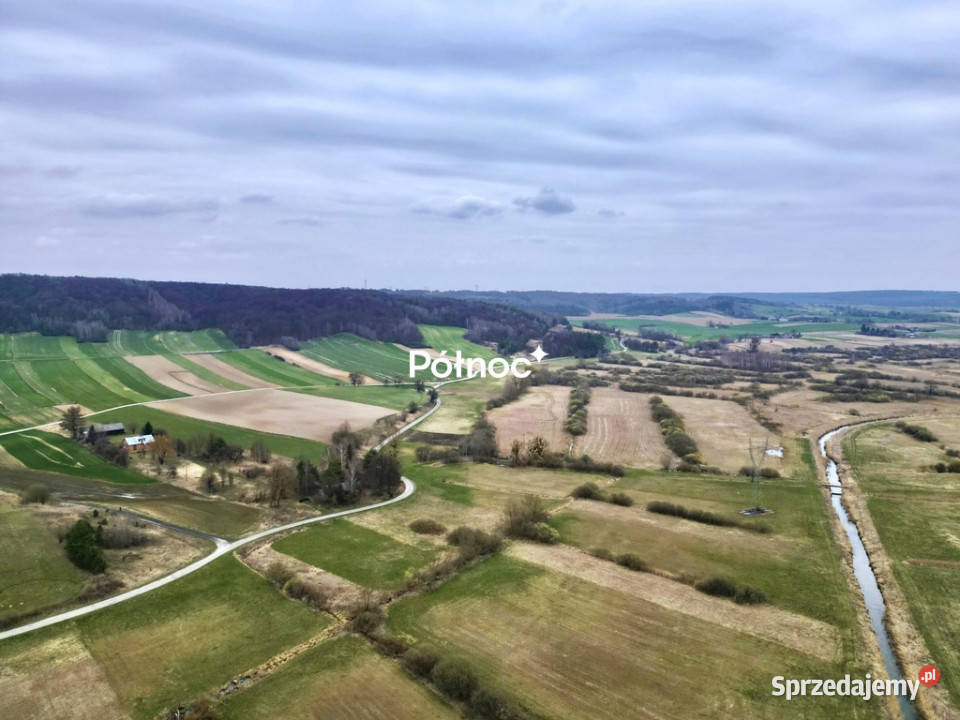 Działka w Zabytowie gmina Skierbieszów 3899m2 lubelskie Zabytów
