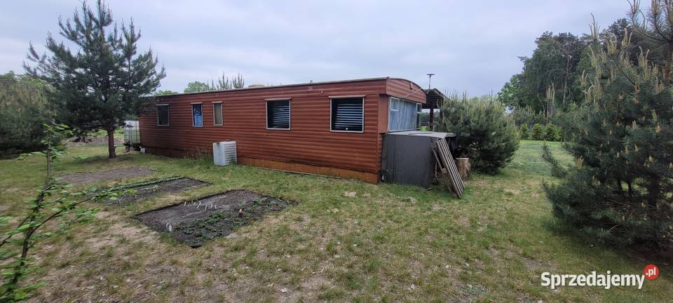 Działka rekreacyjna z warunkami Złotniki-Kolonia