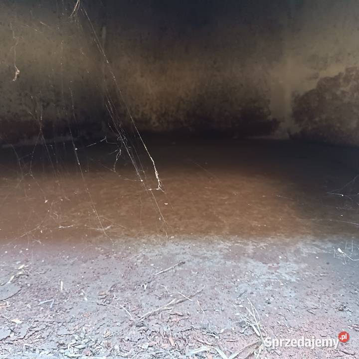 Zbiorniki na zboże Gogolin