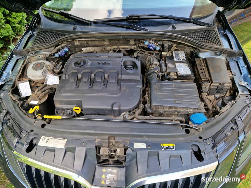 Skoda Octavia III 20 Tdi Ambition Białystok