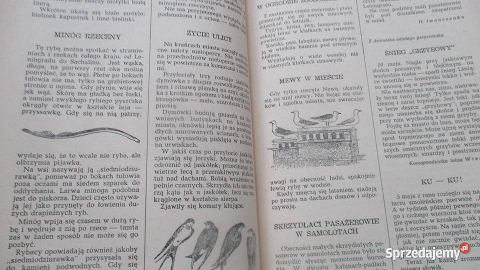 Ksiązki przyrodnicze przyroda las Bianki Łódź