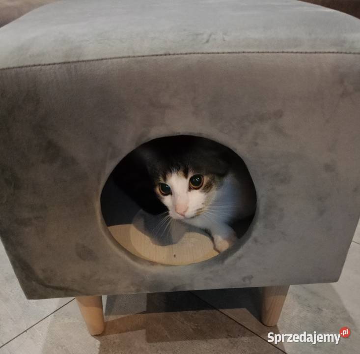 Pufa Akcesoria dla zwierząt Kluczbork