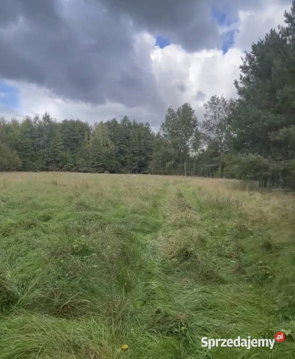 Działka rolna Częściowo zalesiona Grunty i działki Grudna