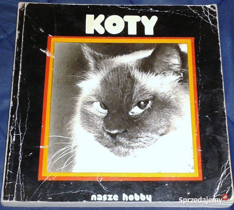 Koty nasze hobby A Konarska Szubska lubelskie Chełm sprzedam