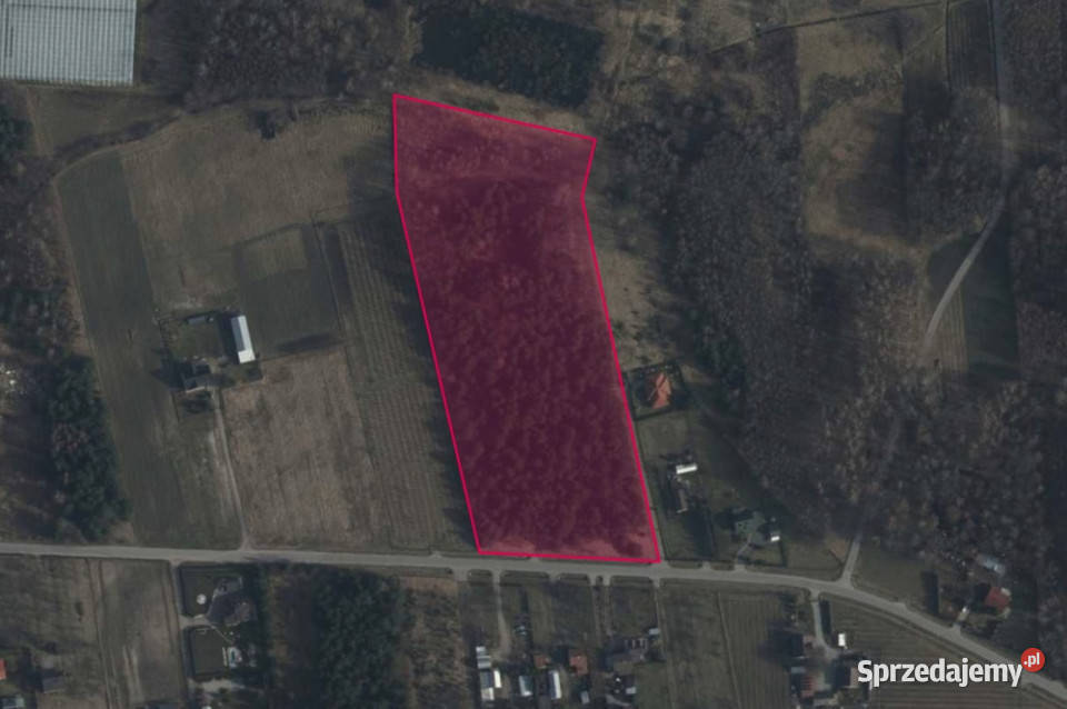 Działki w miejscowości Duży Dół rolna