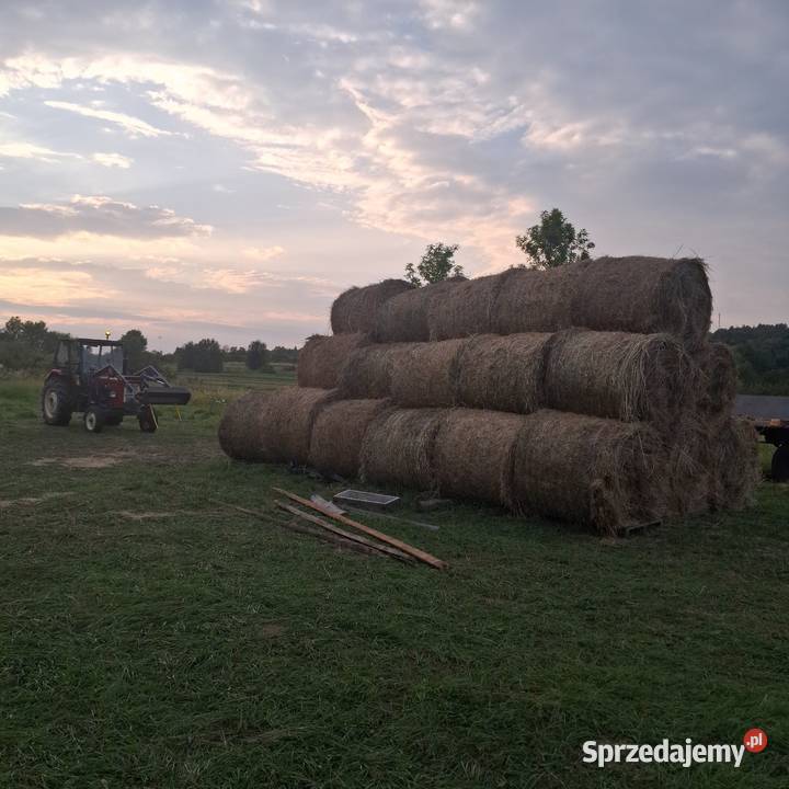Sprzedam bele siana 120x120 spod flizu Teodorówka sprzedam