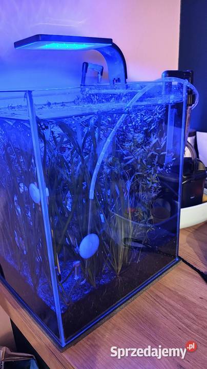 Sprzedam akwarium 30 l kostkę optiwhite komplet Toszek