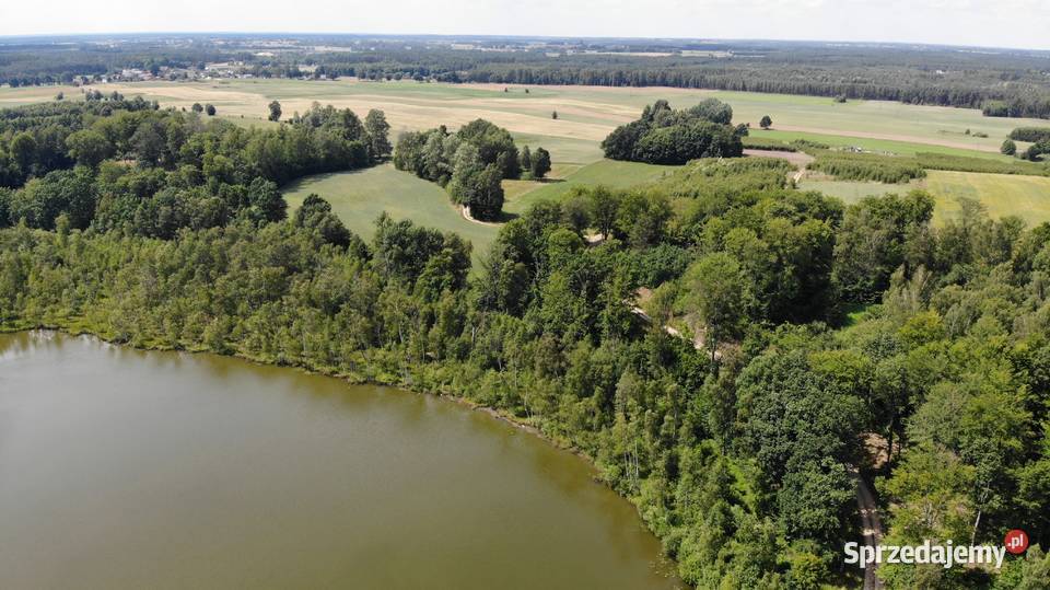 Działka na Kaszubach Grunty i działki Stary Barkoczyn sprzedam