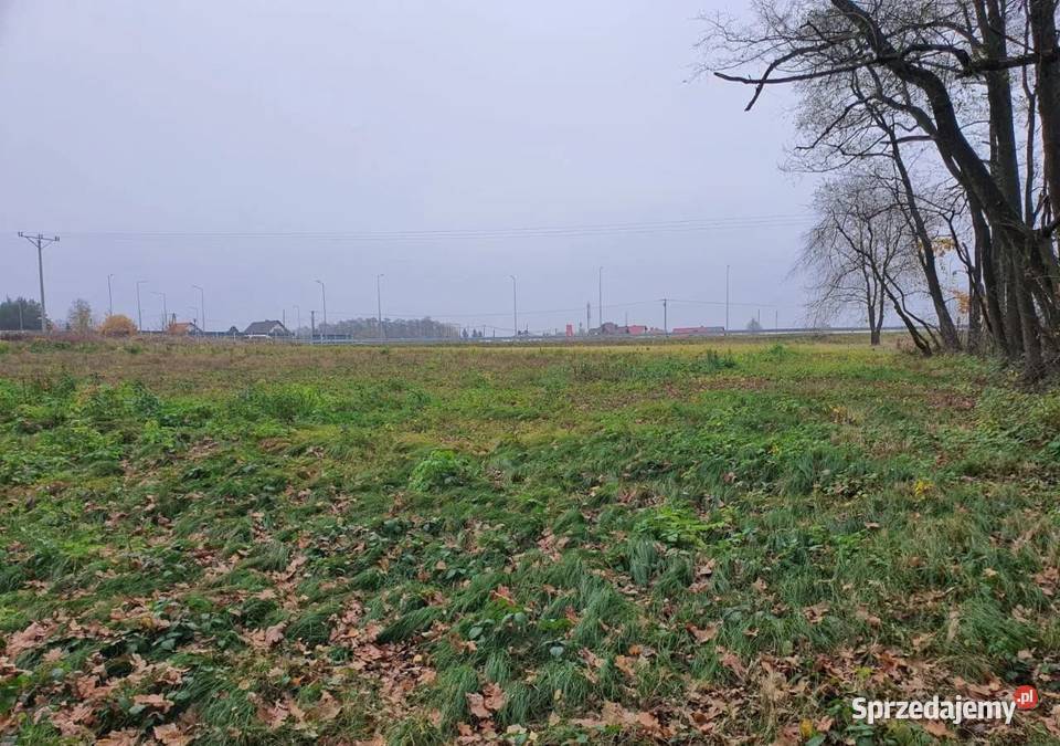 Działki budowlane 8 10 11 12 arów Dąbrowa Tarn Dąbrowa Tarnowska sprzedam