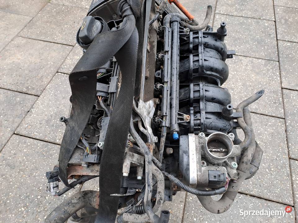 Skoda Fabia I 14 16v silnik kompletny kod BBY
