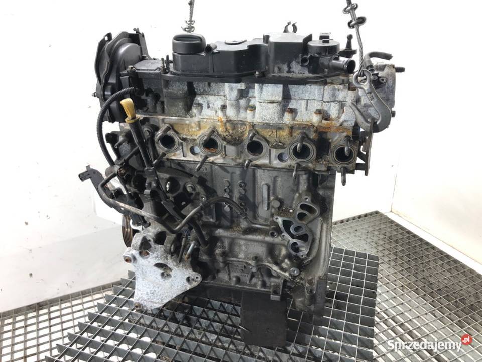 SILNIK FORD 16 115 T1DA 1019 C II osobowe