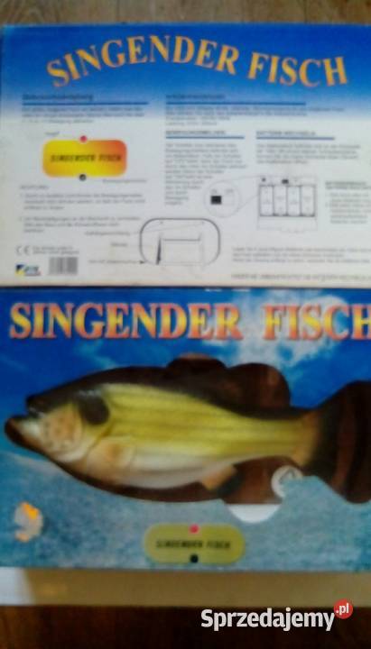 Śpiewająca ryba Szczecinek