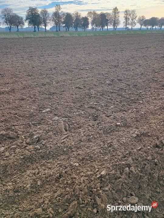 Pługi akpil mixdue 31 2019r nowe łuków lekkie Jeziory sprzedam