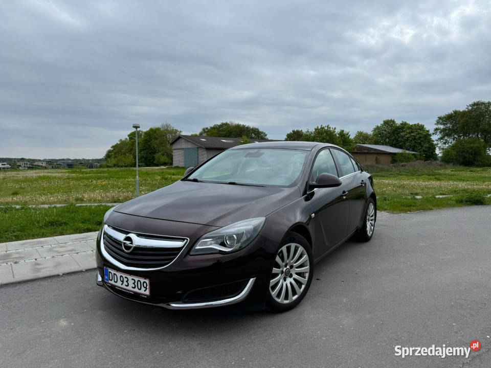 Opel Insignia A 20082017 154000km Sadlno