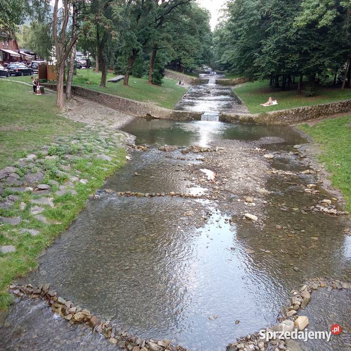 Dom nowy właściciela śląskie Czaniec