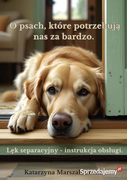 Trudny pies lęk separacyjny niszczenie pdf Warszawa