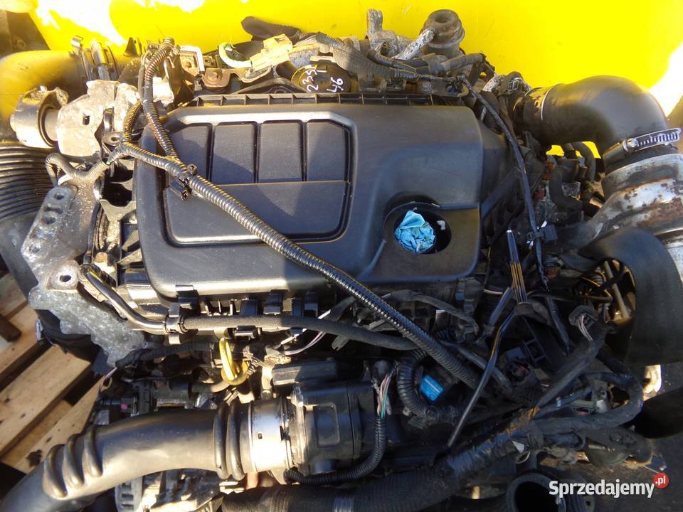 TRAFIC VIVARO 16 DCI 16r 140 R9M450 pompa Pompy wtryskowe Suków sprzedam