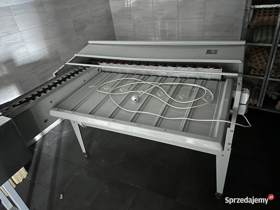 Sortownica do jaj mazowieckie Mława