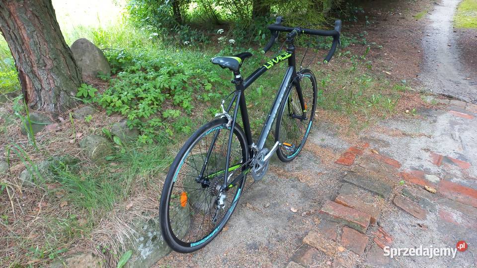 Alu Rower Szosowy Kolarka Szosa Haibike QRace RC