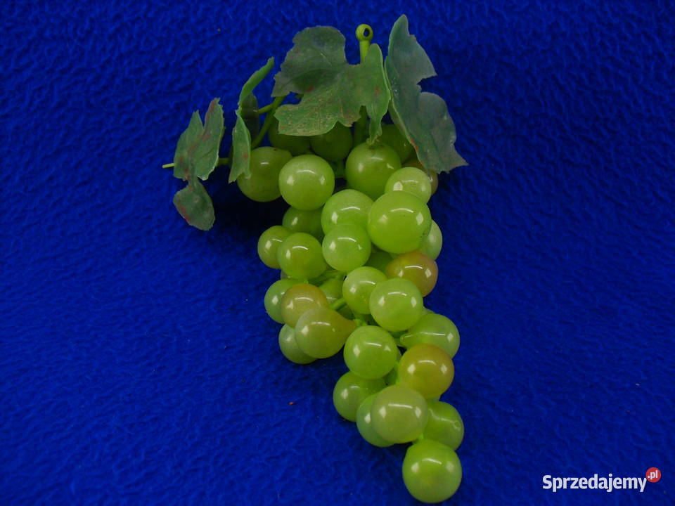 WINOGRONA DEKORACYJNE Bielawa