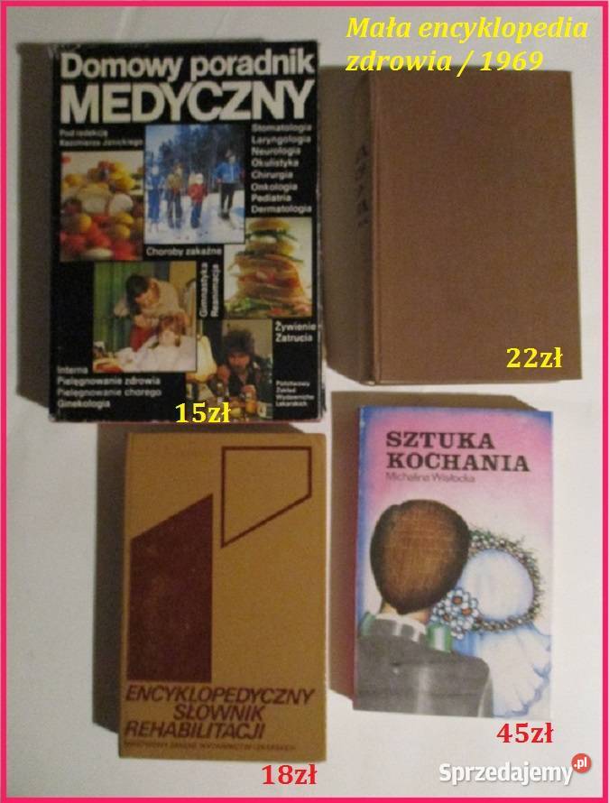 ABC porządków domowych ZDzięgielewska poradnik sprzedam