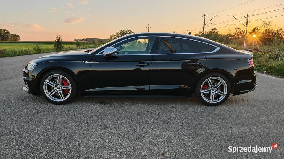 2019 Audi S5 Prestige Samochody osobowe Czyżew