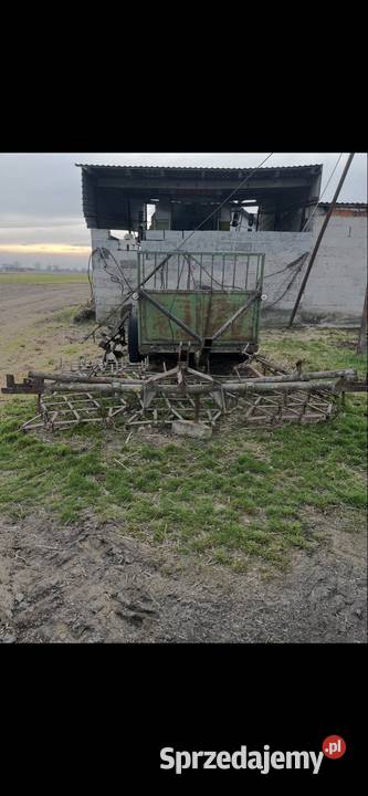 Brony 5 polowe Piotrków Kujawski