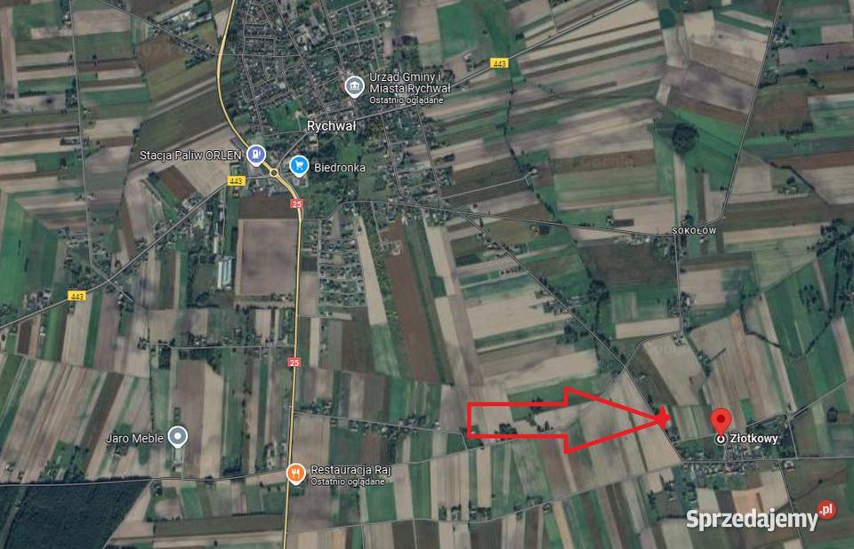 Złotkowy gm Rychwał 3 działki budowlane na Nieruchomości
