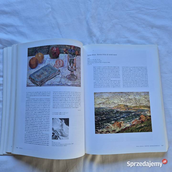 Signac 18631935 katalog wystawy 2001r jfrancuski Brzesko sprzedam