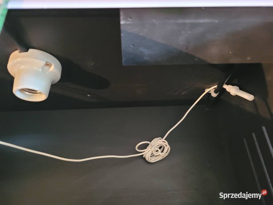 Terarium żółwia jaszczurki węża Łódź