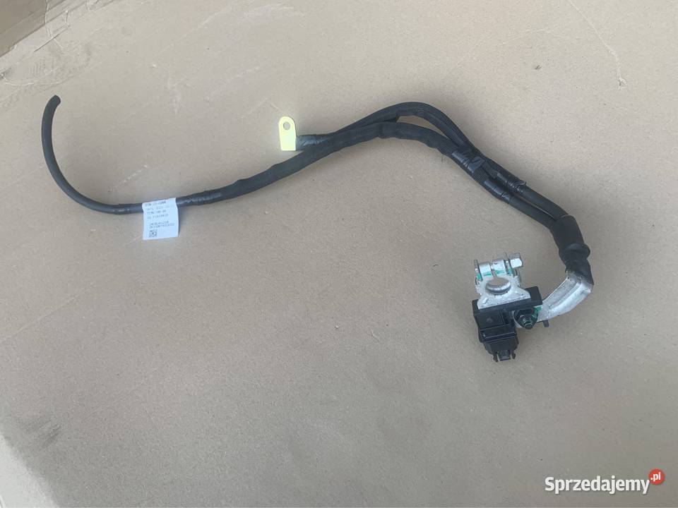 Renault Koleos 2 II lift Klema minusowa Rok produkcji 2021 Szczecin