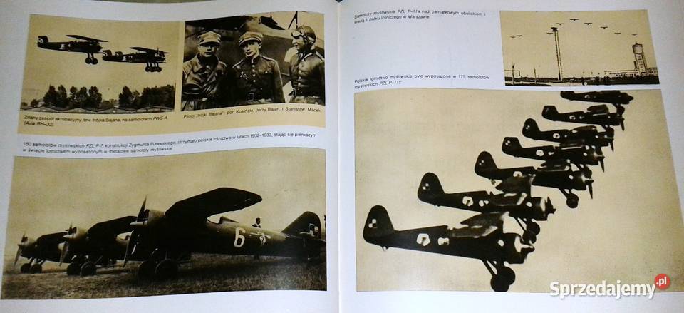 Polskie skrzydła Andrzej Glass twarda Chełm