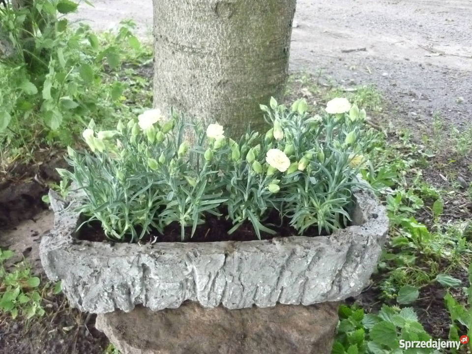 Sprzedam tanio doniczki ręcznie robione Pozostałe Bydgoszcz sprzedam