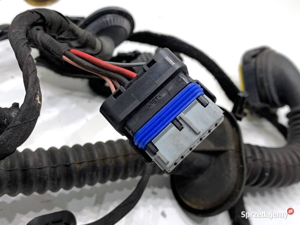 WIĄZKA DRZWI TYŁ PRAWY RENAULT MEGANE IV