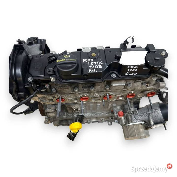SILNIK T1DB Ford Focus III C C 16 TDCI 115 Chełm sprzedam
