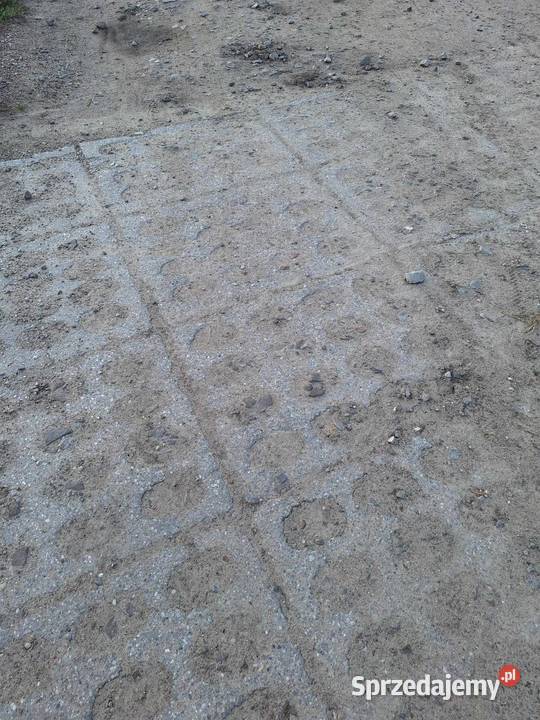 HMS Ofertads Ciechanów