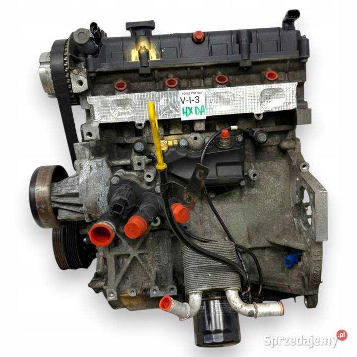 SILNIK HXDA Ford Focus II MK2 C C 16 16V Ti HXDB lubelskie