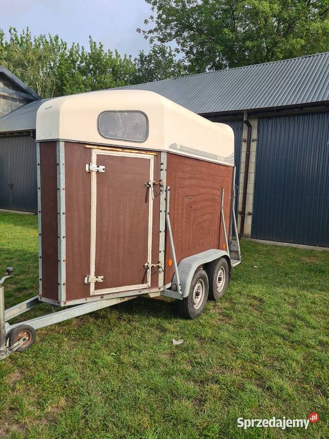 klacz przyczepa konna Konie Firlej