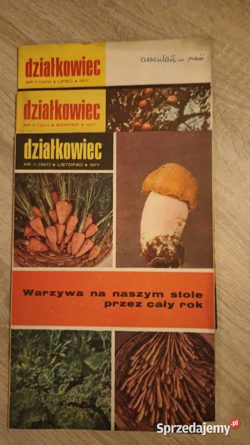 Działkowiec czasopismo PRL Jędrzejów