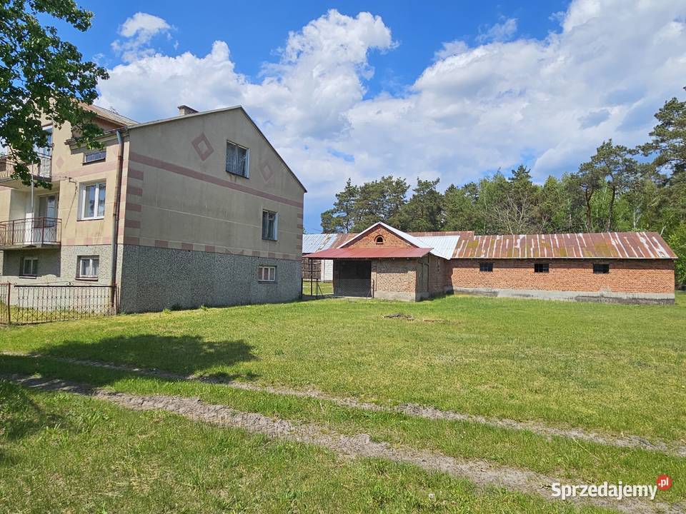 Działka z domem i zabudowaniami gospodarczymi Sprzedaż