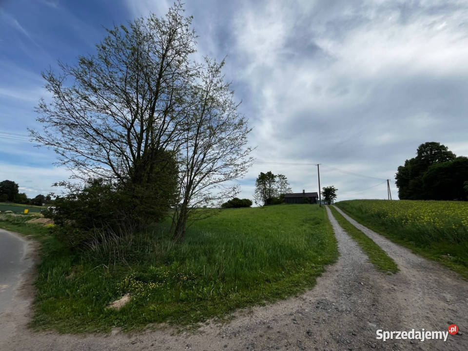 Działka budowlana 20 arów Panieńszczyzna sprzedam