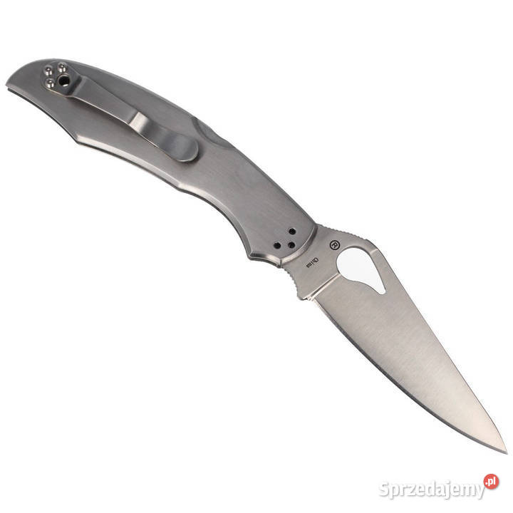Nóż składany Spyderco Byrd Cara Cara 2 Stainless