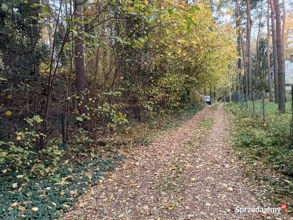 Działka rekreacyjna Zalewem Zegrzyńskim Międzyborów