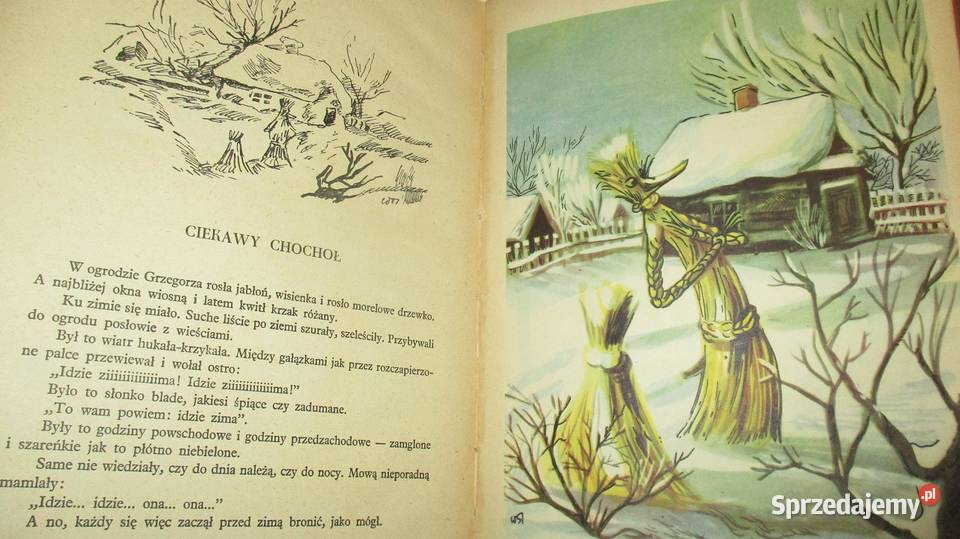 Bajdurki Porazińska bajki wiersze Łódź