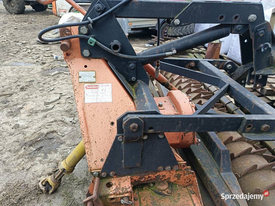 Brona aktywna maschio 3m Leśniaki