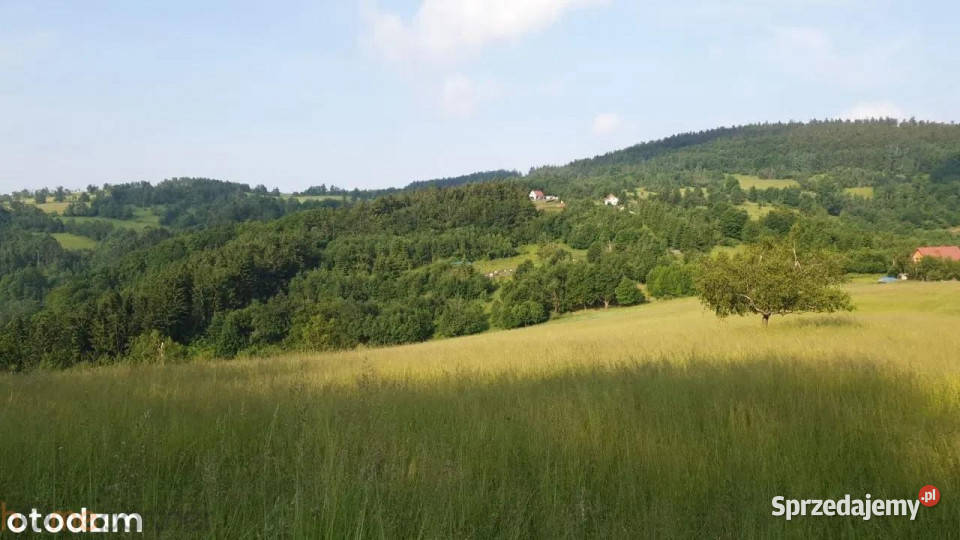 Działkę sprzedam Walim 3566m2