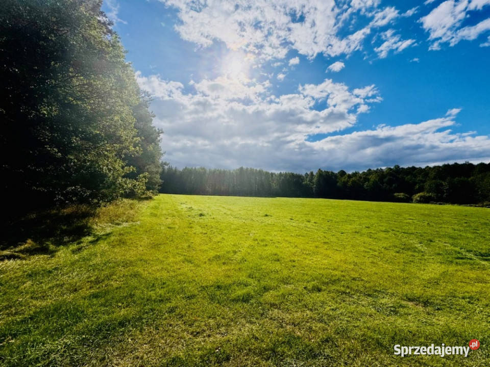 Wyjątkowa działka 242 ha wśród zieleni Cisza Nitki