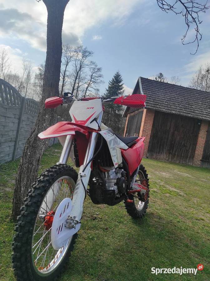 Asix xr99 300 4t Brzóza Królewska
